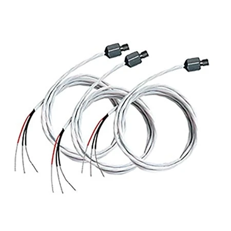 Class B RTD Sensors For Specialized Applications 3 Class B RTD Sensors For Specialized Applications
